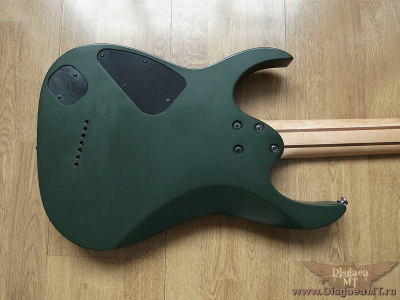 Ibanez_APEX-2_exch_023