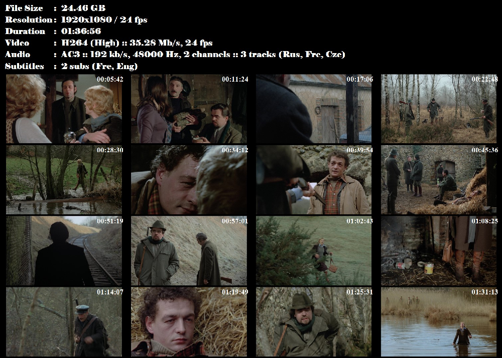 Jako štvaná zvěř / La Traque (1975)
