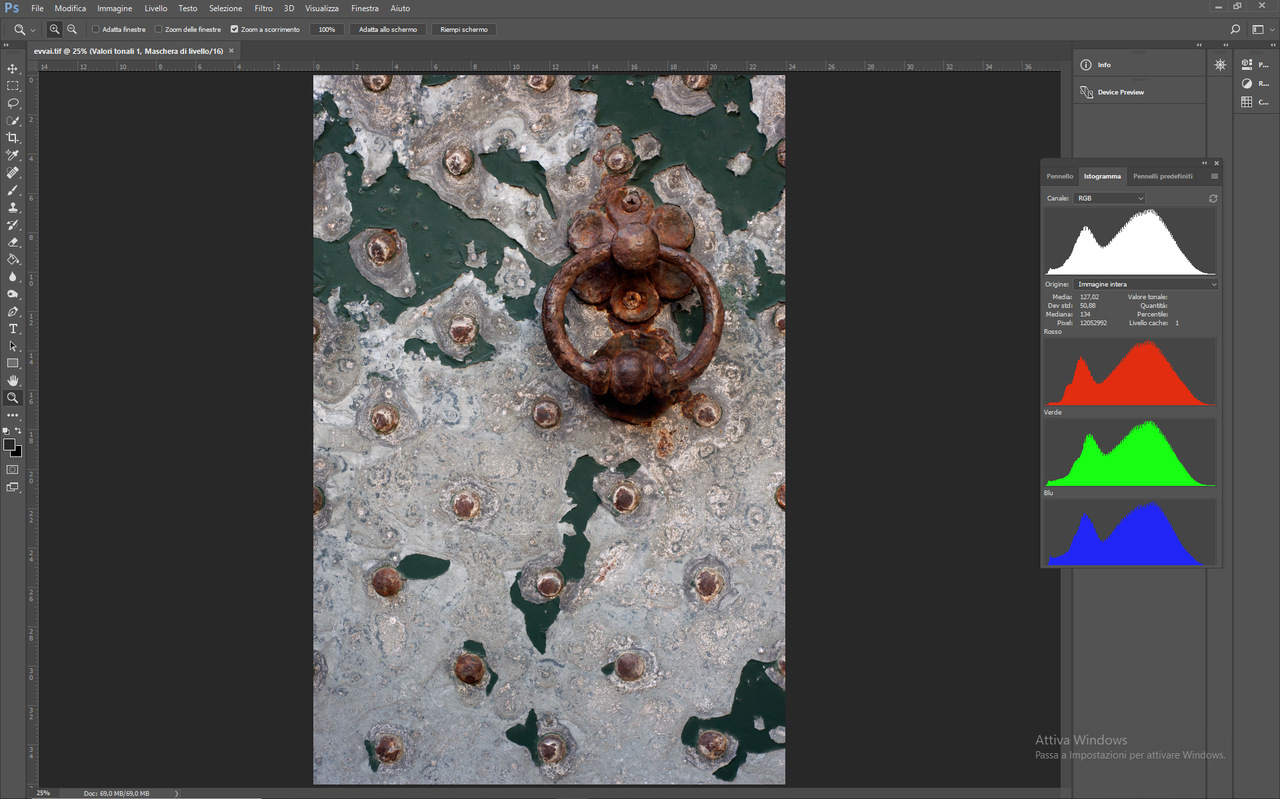 evvai.tif @ 25% (Valori tonali 1, Maschera di livello_16) 17_05_