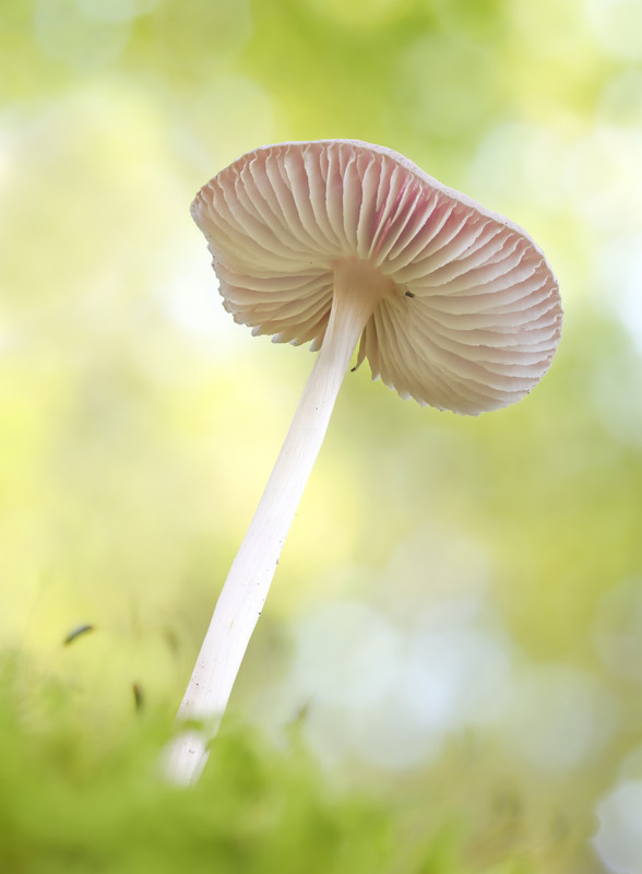 2024-10-27 15-16-35 (A,R8,S4)-2