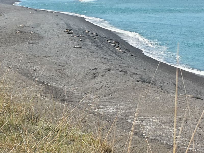 20131009_171719_Richtone(HDR)