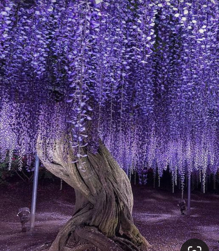 Screenshot_20230409_223104_Pinterest