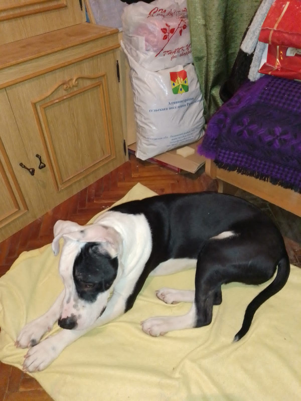 C3993C28-DFEB-4D93-8D4B-C2E034963378