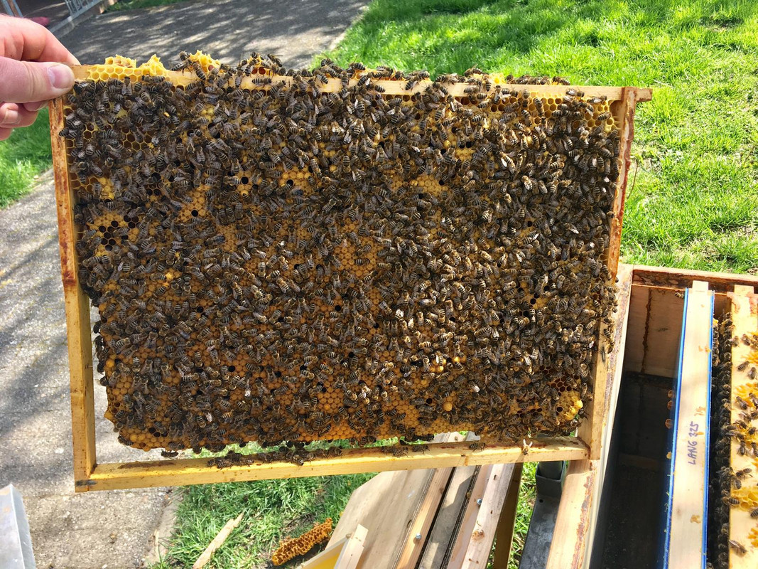 44D06924-2C66-457C-A375-0587373A3129