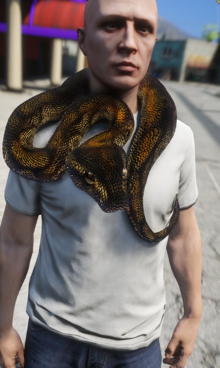 Python Snake