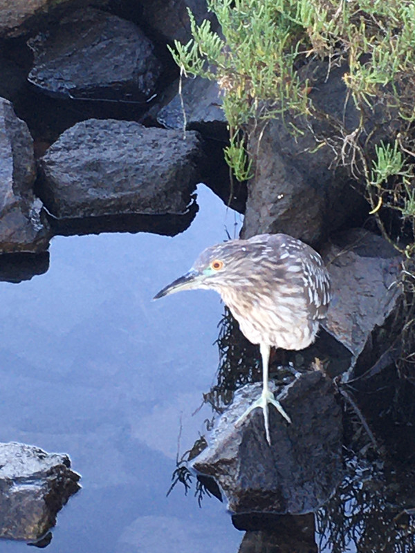 838CC9CA-1368-499D-8AD2-CAE7BBDB827A