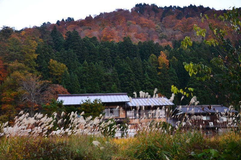 Aldea Histórica de Shirakawa-Go-14-11-2024 - Japón y sus Pueblos-2024 (11)