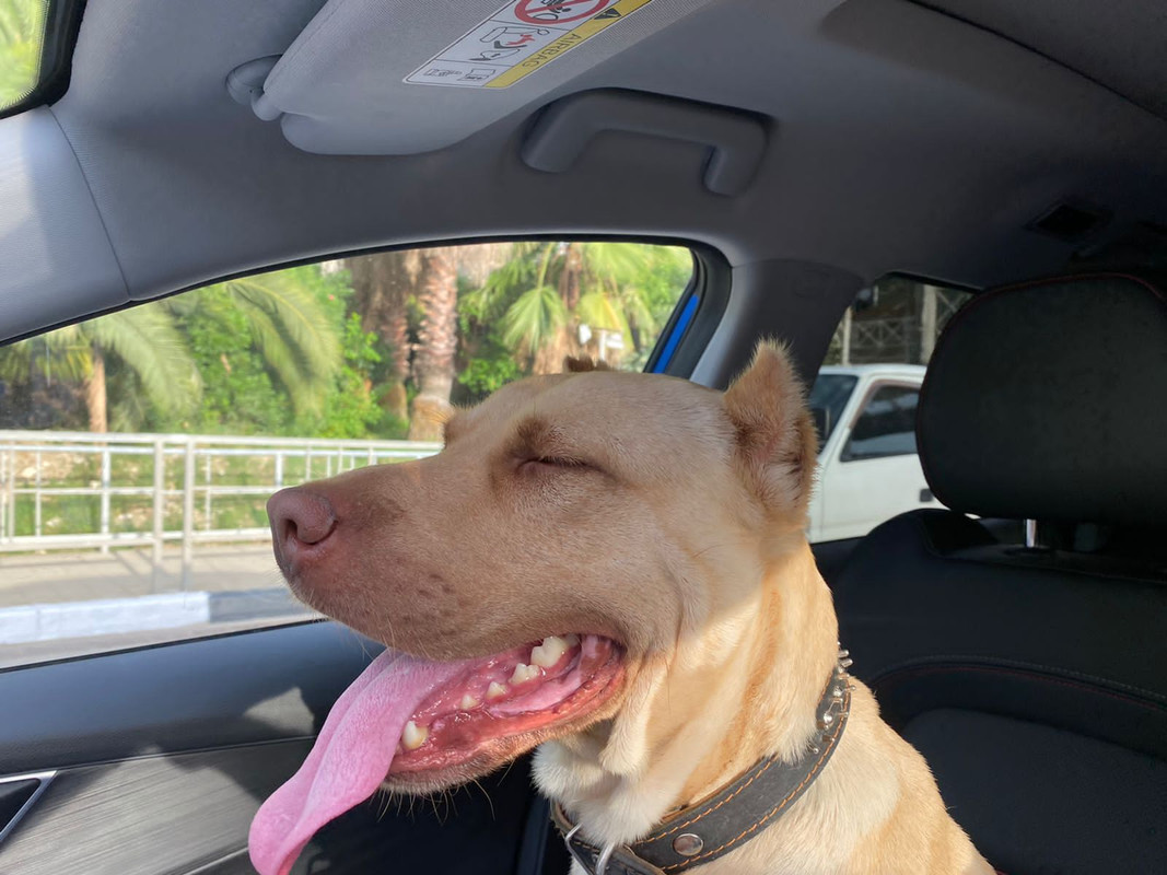 WhatsApp Image 2022-09-16 at 20.22.28 (1)