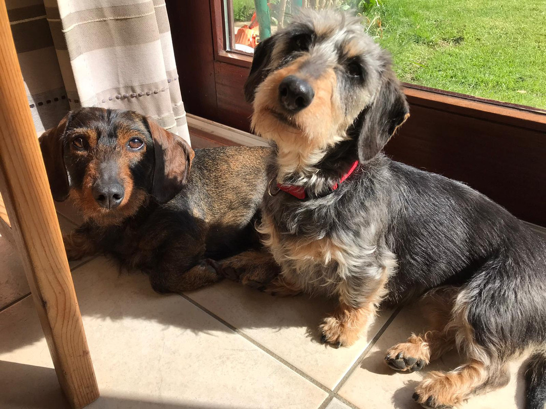 [Image: IMG-20240323-WA0002.jpg]