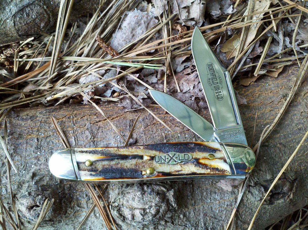 GEC_661210_Burnt_Stag.jpg