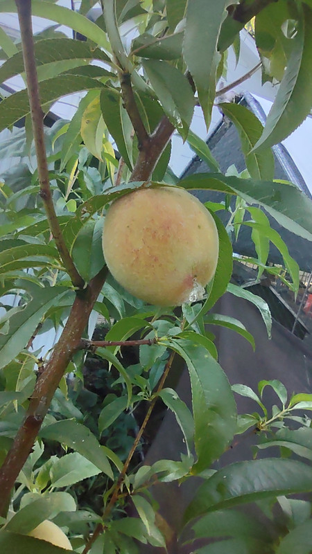 IMG_20250807_085505756