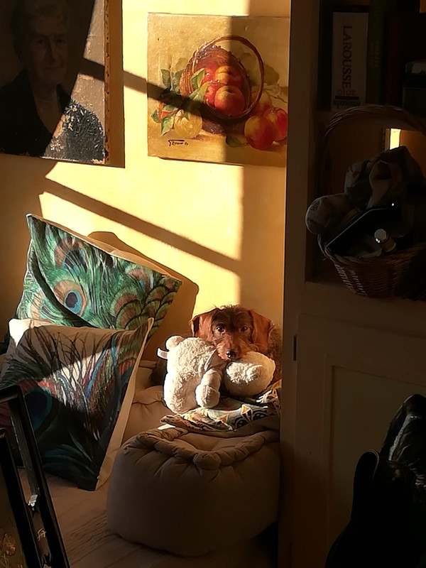 [Image: IMG-20201226-WA0002.jpg]