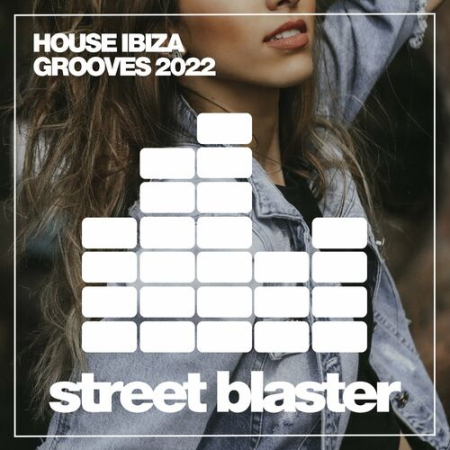 VA - House Ibiza Grooves 2022 (2022)