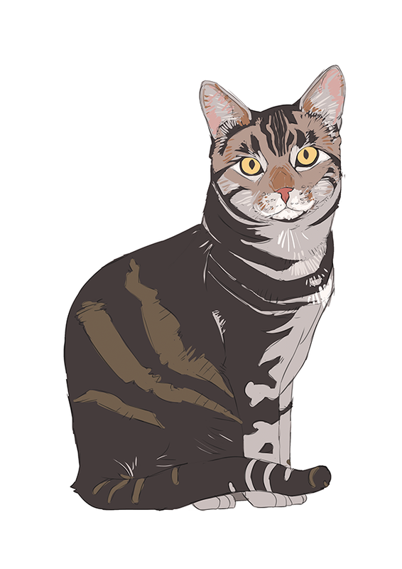 Nalle for camilla sketch