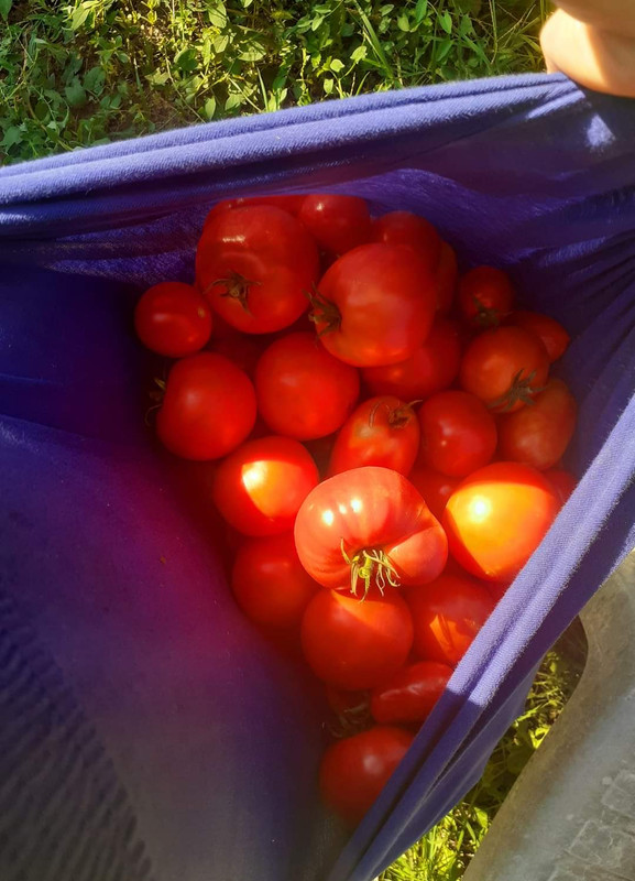 FB-IMG-1724278720317