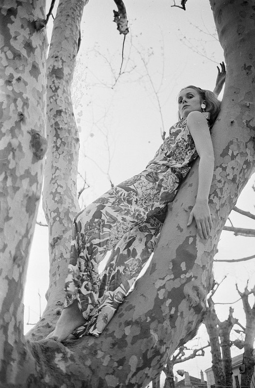 francoise_dorleac_zb24