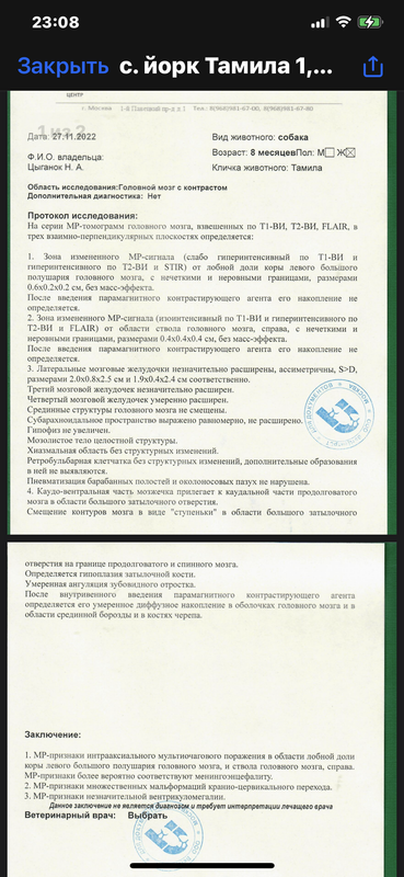 8FC2B85D-6353-4BA7-B12A-6A9679C034F6