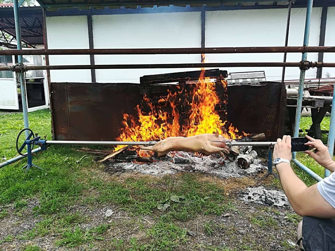 37148673_1677627585668044_6455845684275838976_o