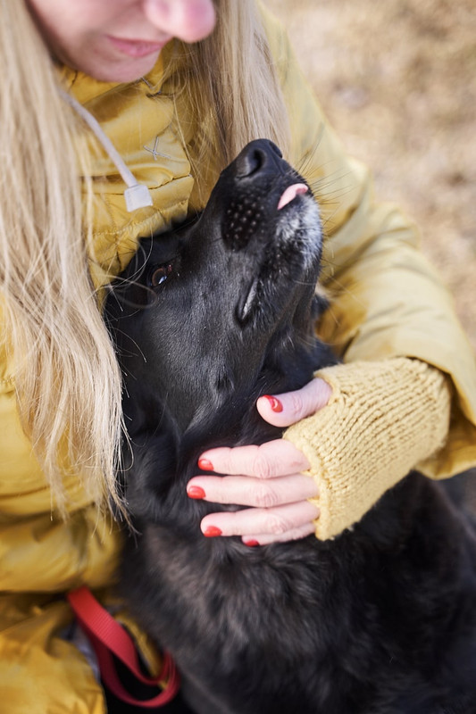 IMG_20210312_202836_930