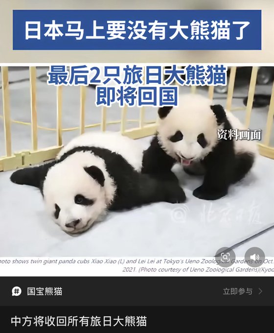 https://i.postimg.cc/j5Rb8mvd/imige(3).jpg
