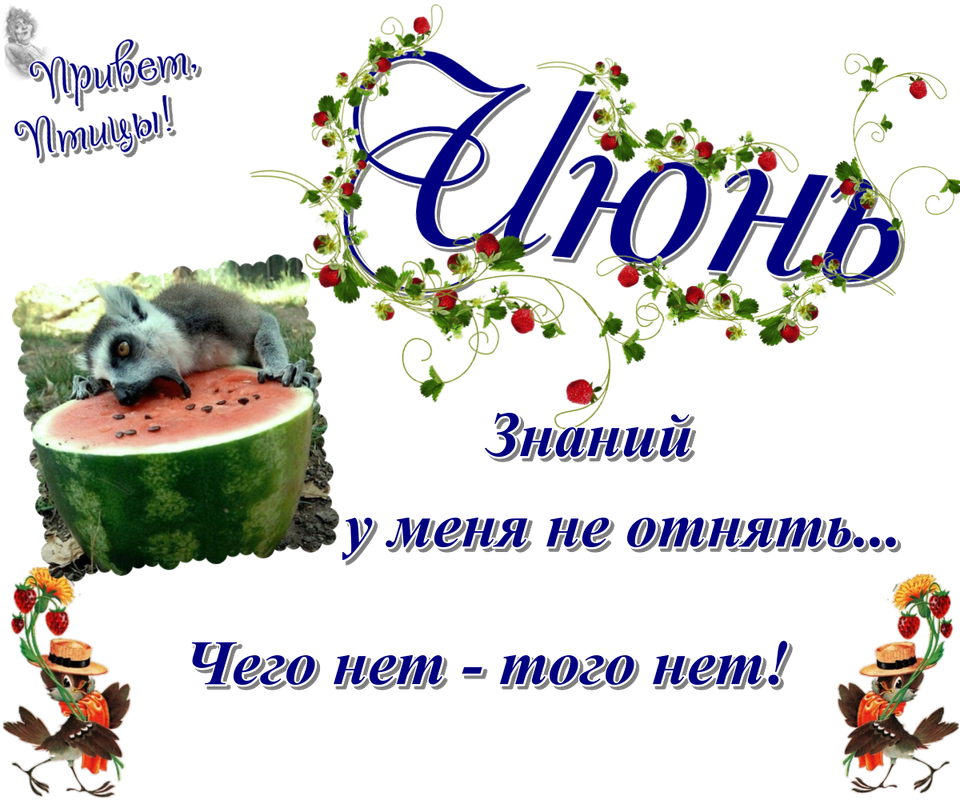 https://i.postimg.cc/j5Rq3w20/20-06.png