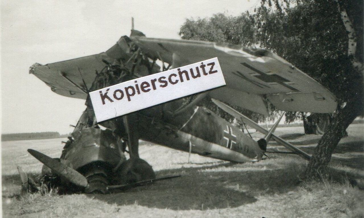 in Oschen Osno Polen (3)