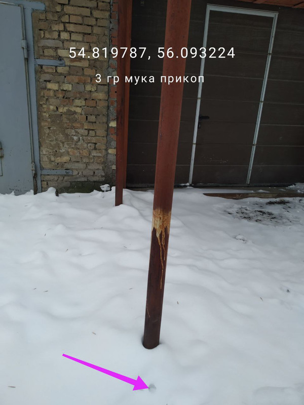 photo 2026 02 08 11 53 13