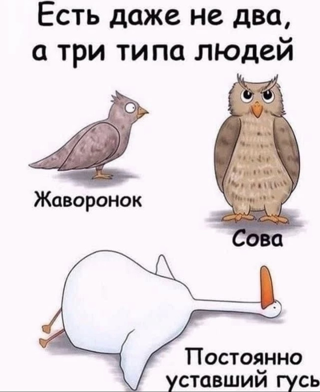 CB7E089B-4055-4ED2-BDA6-71A8CE016711