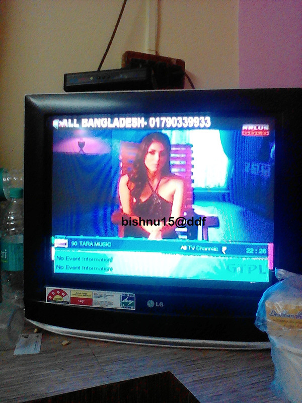 Tara Music 1  R Plus  Gold