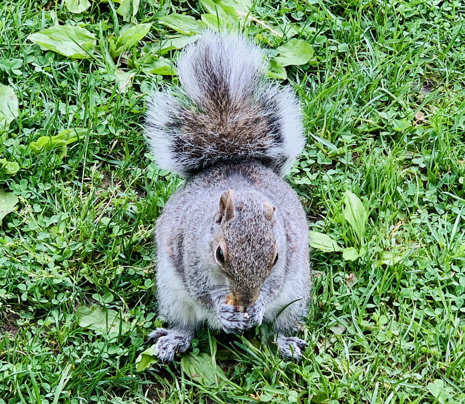 7B0AECC8-2E38-421A-AFA3-0BD5F76FA734