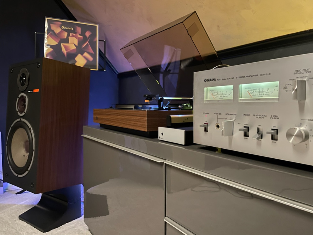 9574E689-8ED5-4337-8FEB-7F851307E41B