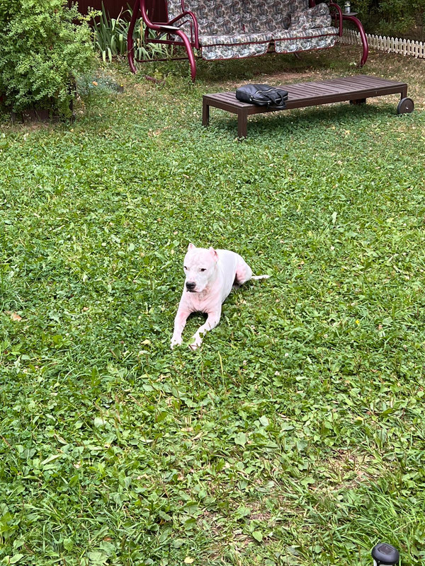 2EBEFDB8-1E60-4F68-9357-1710E1552E95