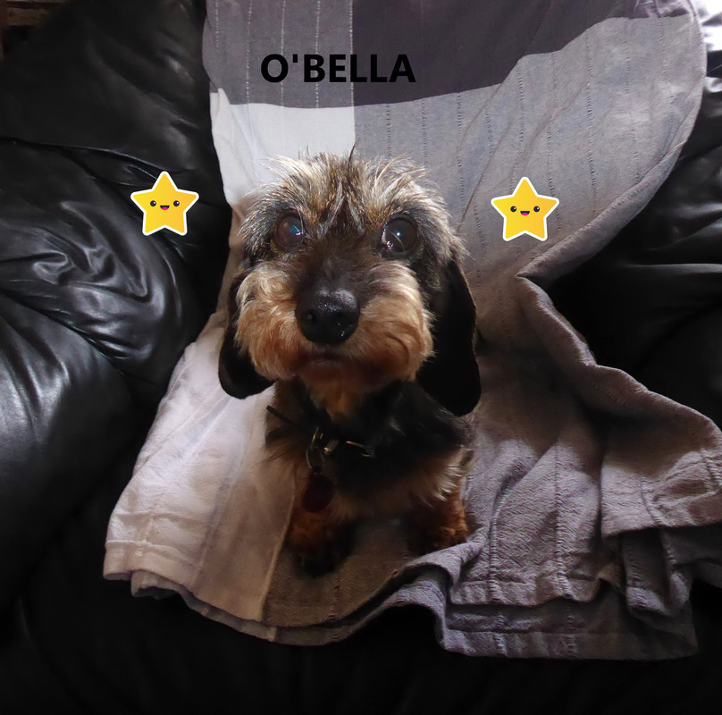 [Image: P1030210-Copie.jpg]