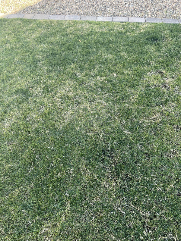 FF4FD9A0-E23E-418A-9466-4646D111FD4F