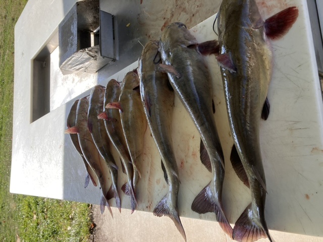 2569D396-7567-40CA-84A7-51222756BD4B