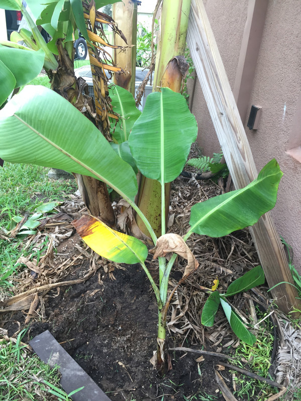 7782FB24-3301-48C2-A4DC-2BFAF2D97551