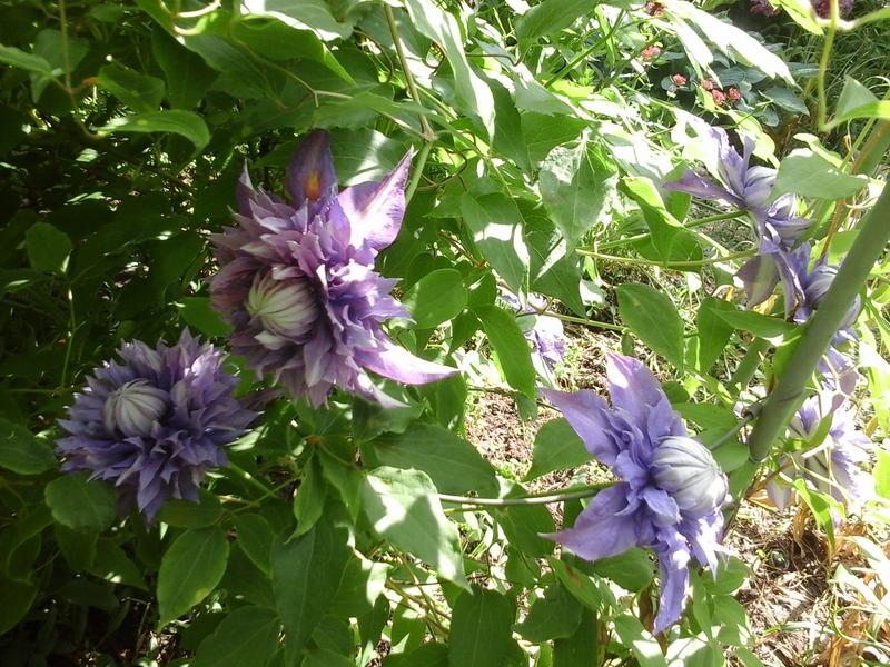 20190527_152652