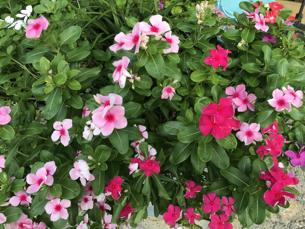 D80BFDCD-7680-4FD9-B586-521E0A919C24