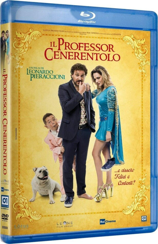 Il professor Cenerentolo (2015) FullHD 1080p ITA DTS+AC3 Subs