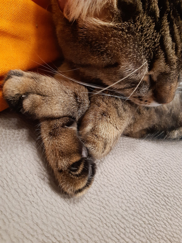 20191215-214811.jpg