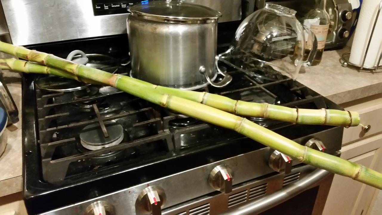 image-20200411_213742