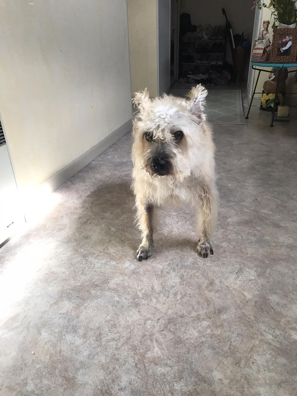 1FD43C5C-4E46-45C0-84C5-EB42DA024270