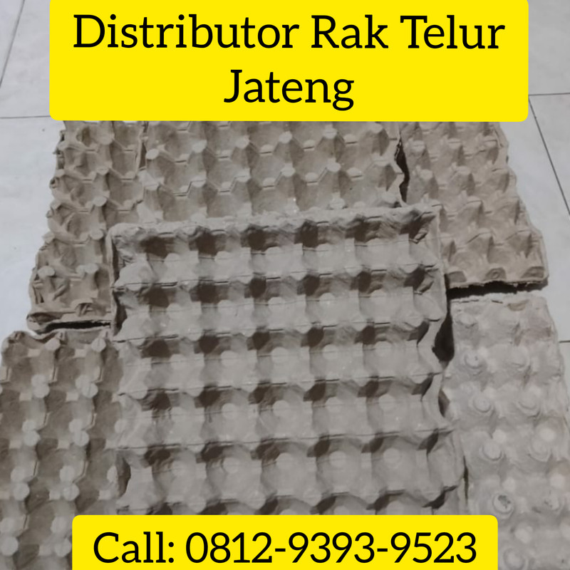 TERPERCAYA, CALL: 0812-9393-9523, Beli Rak Telur Karton Jayapura