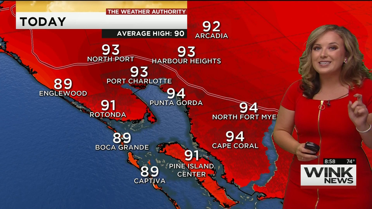 23 May - 14.00.00 - WINK News @ 9 00AM..ts_snapshot_00.02.33_[2020.05.23_17.10.43]