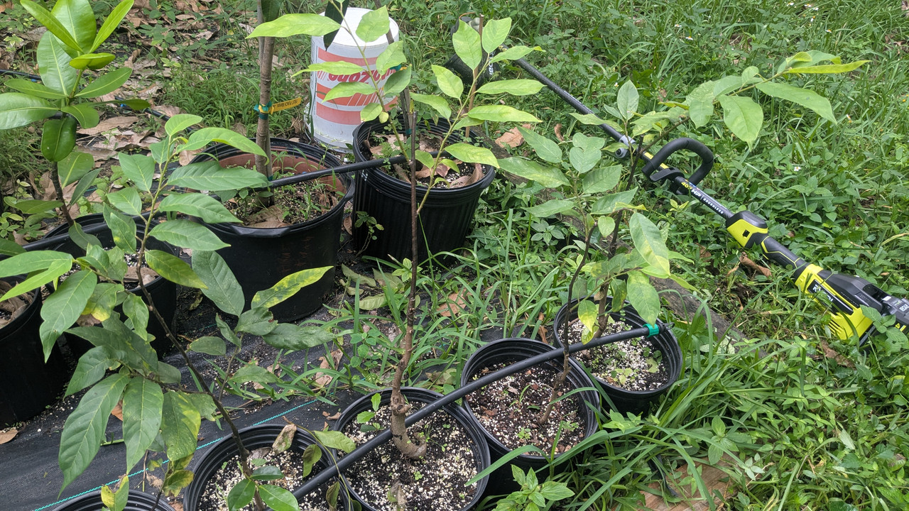 PXL_20250918_202226177