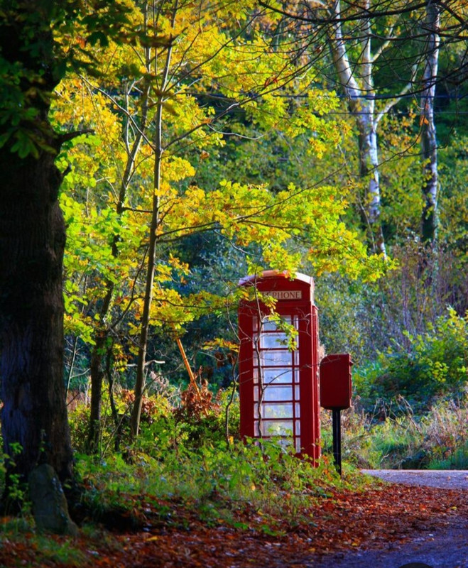 Screenshot_20231128_180814_Pinterest