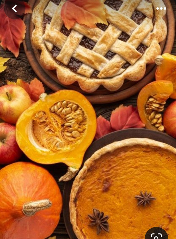 Screenshot_20231117_215710_Pinterest