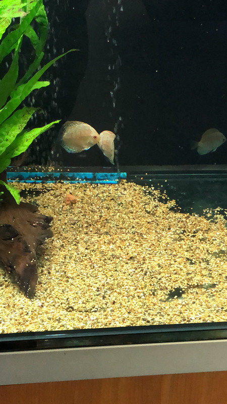 4E92E6E7-8073-46F0-915A-85836475A307