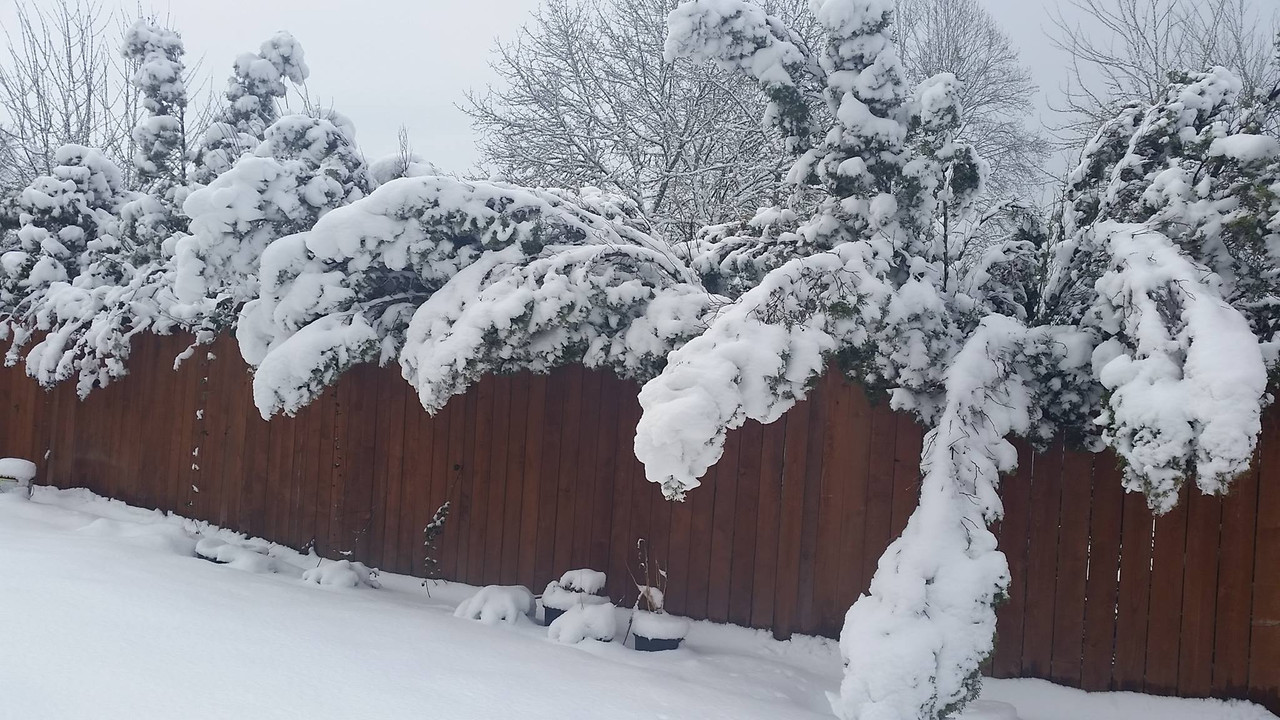 15994513_1687976784551120_557811633160347368_o (2)