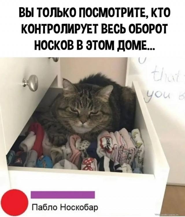 add13f9df2cf8128cc324ff762a461fa